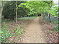 Path through Sandwalk Copse in BR6 7LG