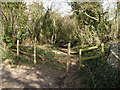 Sparsholt - Footpath in SO21 2NU