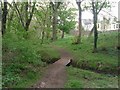 Small bridge in the woods at Willowbrae in EH8 7JL