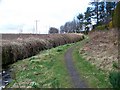 Path, Kirkton of Auchterhouse in DD3 0RE