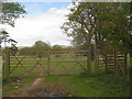 Gate and deer kissing gate near Mersham-le-Hatch in TN25 6PS