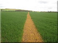 Footpath towards Coomb Farm byway in TN25 5LF