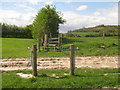 Footpath towards Bulltown Farm in TN25 5HJ