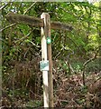 Sussex Wildlife Trust Nature Reserve signpost in Ebernoe