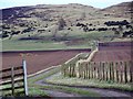 Farm track to Buttergask Hill in PH13 9LG