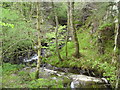 River gorge at Ponthirwaun in SA43 2RE
