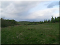 Open land by the Gilmourneuk Woods in G69 7TP