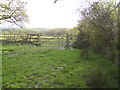 Field edge footpath & stile in SA43 2RE