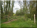 Gate on a path towards Withersdane in TN25 5TG