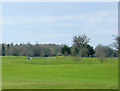 2010 : View of Bowood Park Golf Course in SN11 9PG