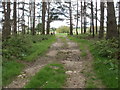 Lytchett Matravers, farm track in BH16 6BB