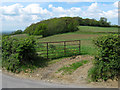 Field gates and Stoke Hill, Thurlbear in TA3 5RW