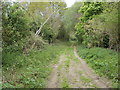 Lytchett Minster, footpath in BH16 6BB