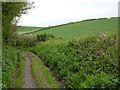 Footpath running up from Alston Lane to Kennels Road in TQ5 0HT