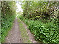 Footpath up to Kennels Road from Alston Lane in TQ5 0HT