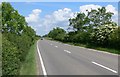 Country road towards Wymondham in LE14 2RX