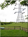 Pylon and paddock, Doe Bank Lane in B43 7DE