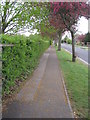 Footpath along Queen Mary Avenue in RG21 6AU