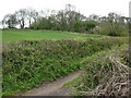 Bridleway approaching Kennels Road Junction in TQ5 0EU