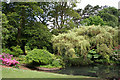 Swansea: Clyne Gardens in SA3 5DD