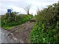 Footpath and Bridleway from Kennels Road down to Alston Lane in TQ5 0EU