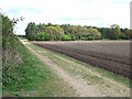 Farmland in Norfolk in PE31 6BJ