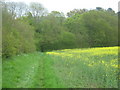 Footpath to Woodsden Farm in Hawkhurst, Sandhurst & Benenden Ward