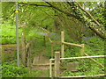 Footbridge near Potter's Lane in TN18 5BB