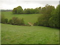 Footpath to Hawkhurst, near Tarley in TN18 5BB
