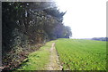 1066 Country Route along the woodland edge in TN35 5DS