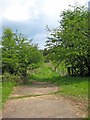 Public footpath from Wyre Forest to the village of Buttonoak in DY12 3AG