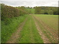 Sussex Border Path heading towards Northlands in TN32 5UX