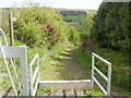 Path to Cwmavon in NP4 7UJ