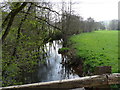 The view upstream from Hawkridge Bridge on the river Taw in EX17 6AR