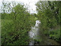River Bourne in SP1 2UP