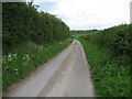 Narrow Lane near Ranger's Lodge Farm in SP5 3DB