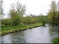 River Avon, Middle Woodford in SP4 6NR