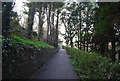 Path, Alexandra Park in TN37 6SJ