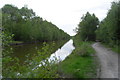 Bridgewater Canal & Cycle Path in Boothstown & Ellenbrook Ward