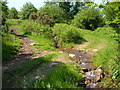 Leat water crossing Creaber Pound in TQ13 8HT