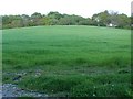 View across field to Tatchbury Mount in SO4 2WE