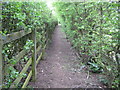 Beaconsfield: Footpath to Hedgerley in HP9 2GE