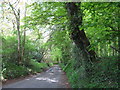 Ridge Lane through Moorcourt Copse in SO51 6AB
