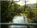 The view downstream from the bridge on the River Yeo which  leads to the Bulldog fish farm in EX32 7JS