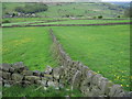 Footpath towards Low Bradfield in S6 6GQ