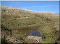 Dune slack in the Raven Meols Hills in L38 8AF