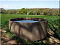 Water trough and standing stone in SA42 0NA