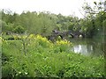 Banks of Avon in Barton Park with Packhorse Bridge in BA15 1DQ
