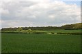 Arable fields south of Balsham in CB21 4DU