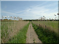 Footpath at Formby in L37 2EP
